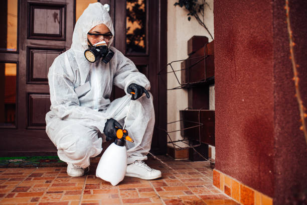 Reliable Cockroach Control contractor in Perryville, MO by Nex Pest Control