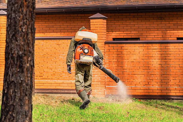 Top rated local Cockroach Control specialists in Perryville, MO
